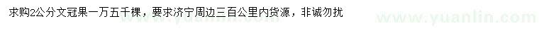 求購2公分文冠果