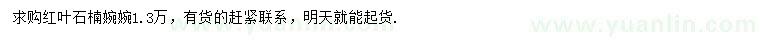 求購(gòu)紅葉石楠