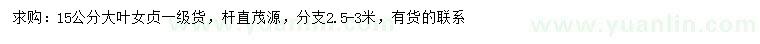 求購15公分大葉女貞