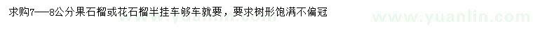 求購(gòu)7-8公分石榴、花石榴