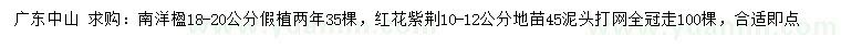 求購18-20公分南洋楹、10-12公分紅花紫荊