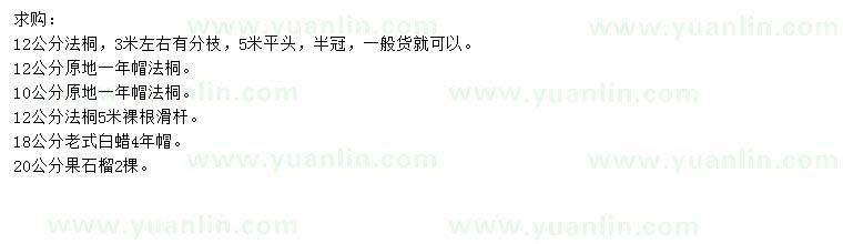 求購法桐、老式白蠟、果石榴