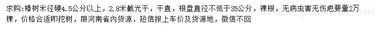 求購米徑硬4.5公分以上椿樹
