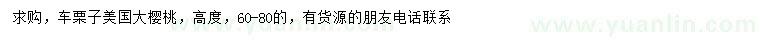 求購(gòu)高度60-80公分車?yán)踝? />
                        <br />
                        <label style=