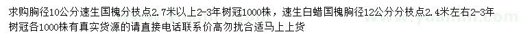求購(gòu)胸徑10公分速生國(guó)槐、12公分速生白蠟