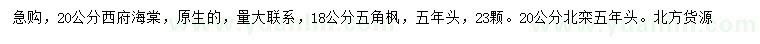 求購西府海棠、五角楓、北欒