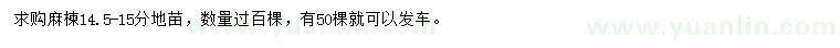 求購14.5-15公分麻楝