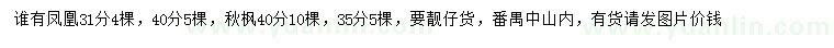 求購31、40公分鳳凰、35、40公分秋楓