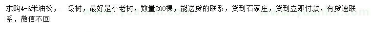 求購4-6米油松