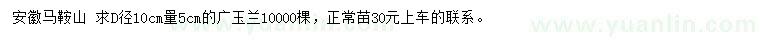 求購地徑10公分量5公分廣玉蘭