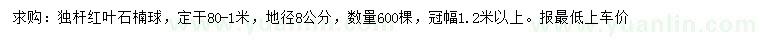 求購地徑8公分獨桿紅葉石楠球