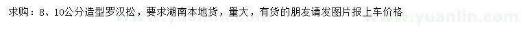 求購8、10公分造型羅漢松