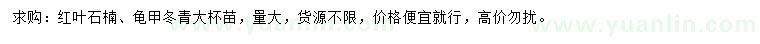 求購紅葉石楠、龜甲冬青
