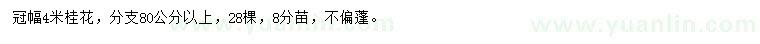 求購冠4米桂花