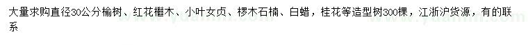 求購榆樹、紅花繼木、小葉女貞等