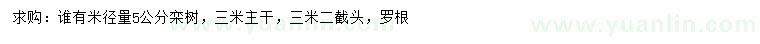 求購米徑量5公分欒樹