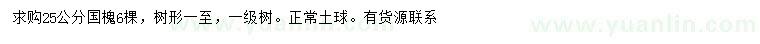 求購25公分國槐