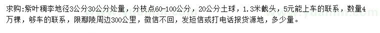 求購地徑30公分處量3公分紫葉稠李