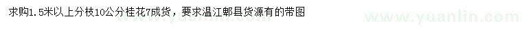 求購10公分桂花