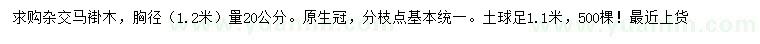 求購胸徑1.2米量20公分雜交馬褂木