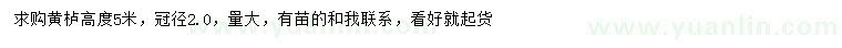 求購高度5米黃櫨