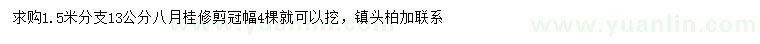 求購13公分八月桂
