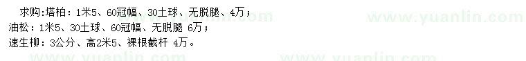 求購(gòu)求購(gòu)塔柏、油松、速生柳