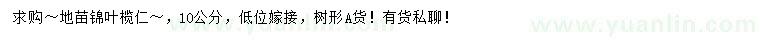 求購10公分錦葉欖仁