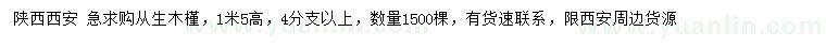 求購高1.5米從生木槿