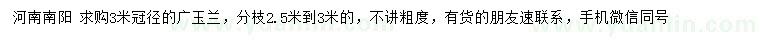 求購(gòu)冠徑3米廣玉蘭