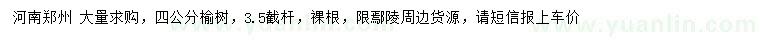 求購4公分榆樹