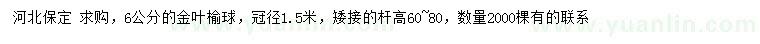 求購6公分金葉榆球