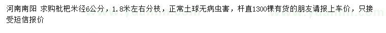 求購(gòu)米徑6公分枇杷