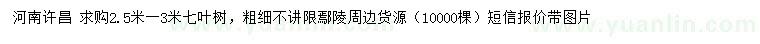 求購2.5-3米七葉樹