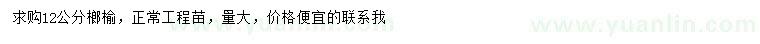 求購12公分榔榆