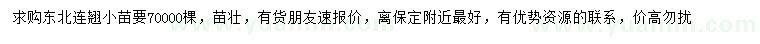 求購東北連翹小苗