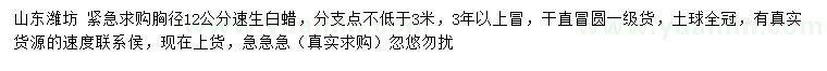 求購胸徑12公分速生白蠟