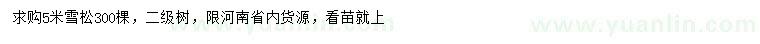 求購5米雪松