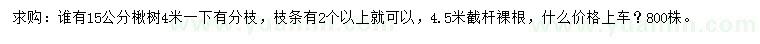 求購15公分楸樹