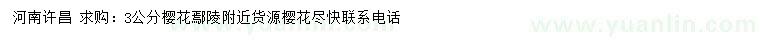 求購3公分櫻花