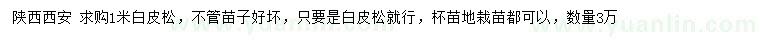 求購1米白皮松
