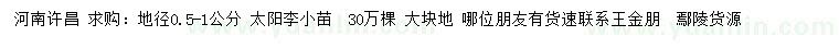 求購地徑0.5-1公分太陽李小苗