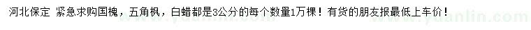 求購國槐、五角楓、白蠟