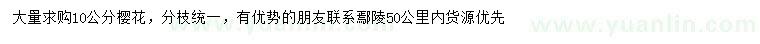 求購(gòu)10公分櫻花