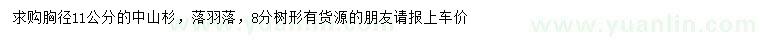 求購胸徑11公分中山杉、落羽落