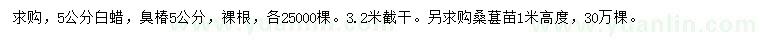 求購白蠟、臭椿、桑葚苗