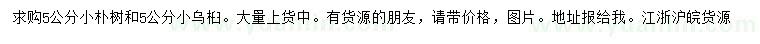 求購5公分樸樹、烏桕