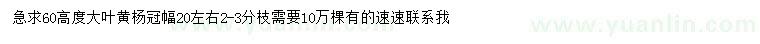 求購高度60公分大葉黃楊