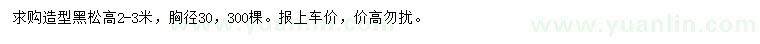 求購胸徑30公分造型黑松