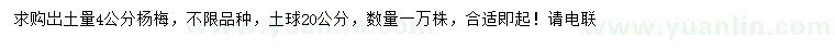 求購岀土量4公分楊梅